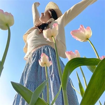 野性地带 在线观看